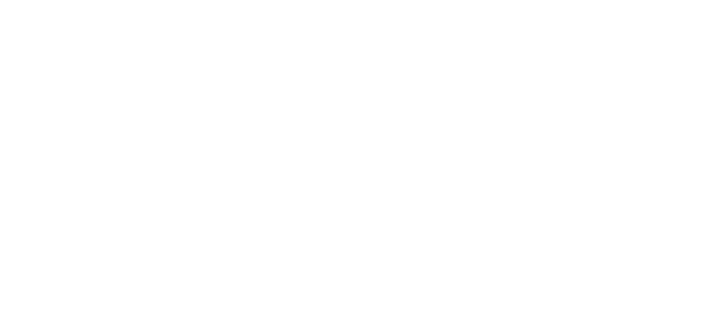 The Fleet Auction Group logo in white